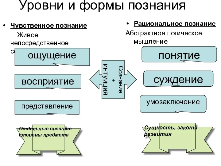 Уровни и формы познания Чувственное познание Живое непосредственное созерцание Рациональное