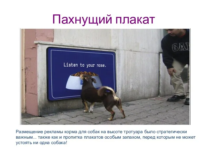 Пахнущий плакат Размещение рекламы корма для собак на высоте тротуара