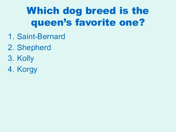 Which dog breed is the queen’s favorite one? Saint-Bernard Shepherd Kolly Korgy