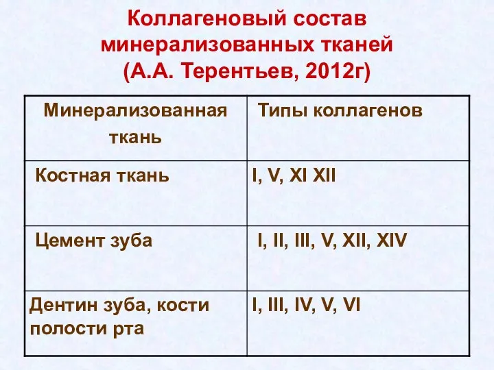 Коллагеновый состав минерализованных тканей (А.А. Терентьев, 2012г)
