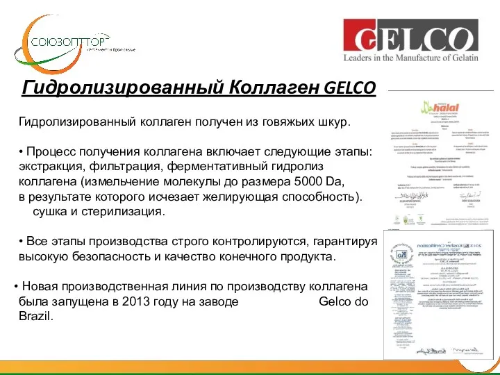 Гидролизированный Коллаген GELCO Гидролизированный коллаген получен из говяжьих шкур. •