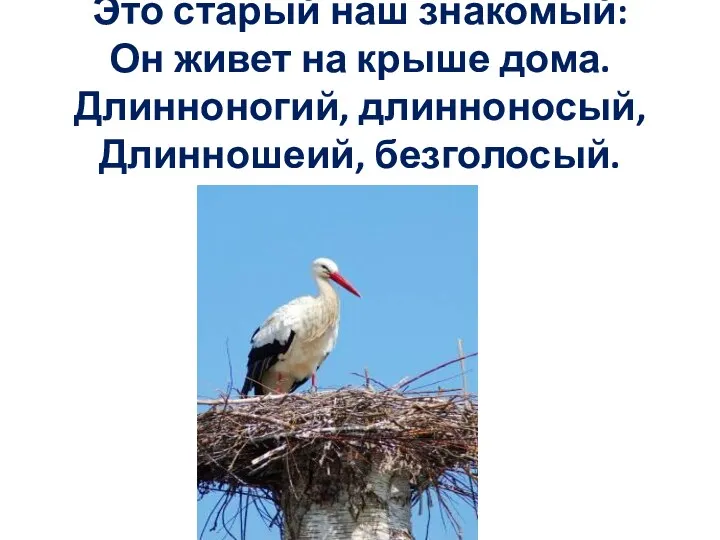 Это старый наш знакомый: Он живет на крыше дома. Длинноногий, длинноносый, Длинношеий, безголосый.