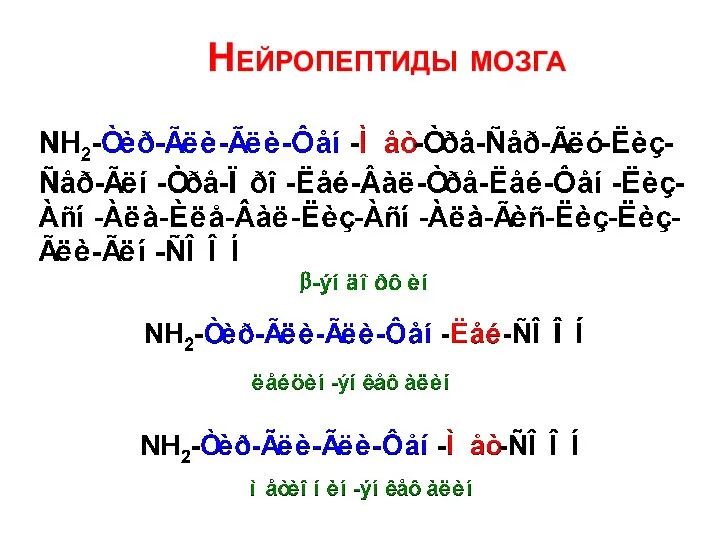 Нейропептиды мозга