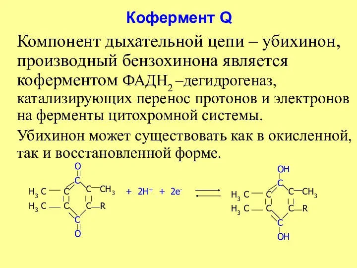 Кофермент Q Компонент дыхательной цепи – убихинон, производный бензохинона является