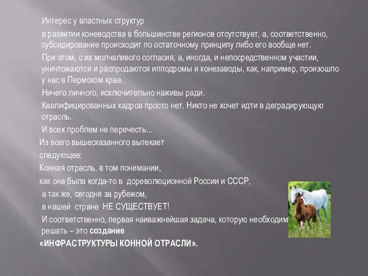 Интерес у властных структур в развитии коневодства в большинстве регионов