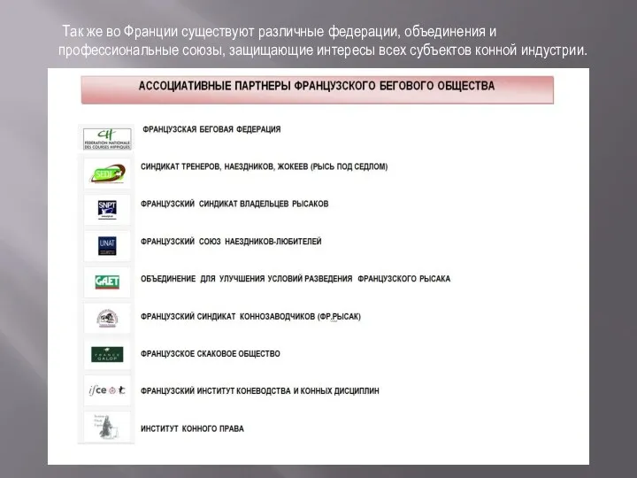 Так же во Франции существуют различные федерации, объединения и профессиональные