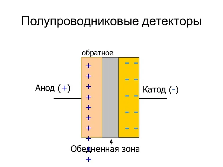 Полупроводниковые детекторы