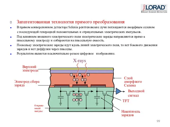 Запатентованная технология прямого преобразования В прямом конверсионном детекторе Selenia рентгеновские