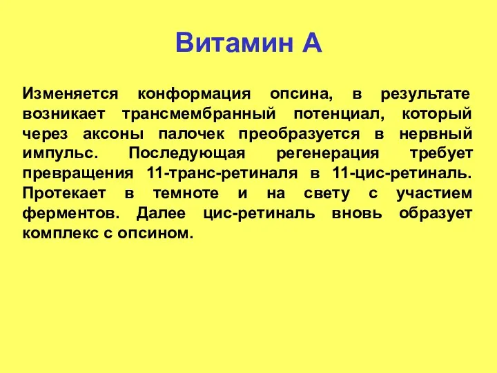 Витамин А Изменяется конформация опсина, в результате возникает трансмембранный потенциал,