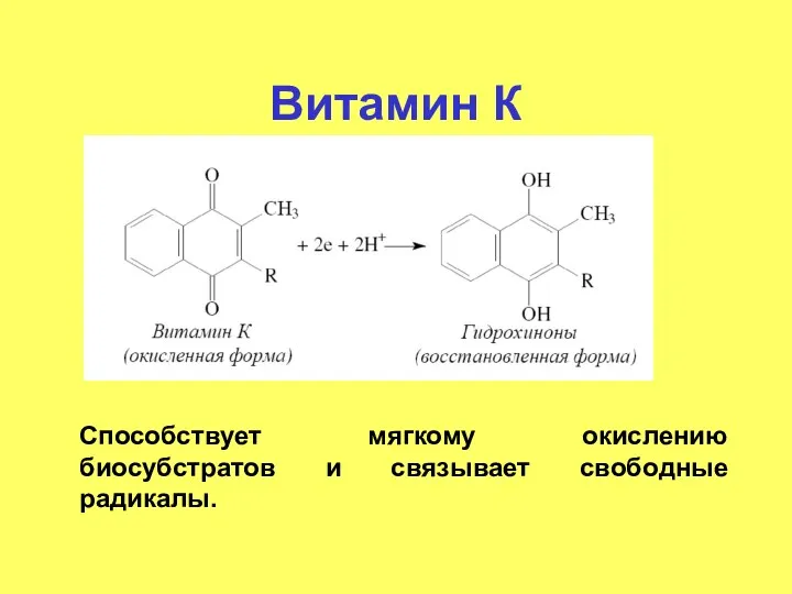 Витамин К Способствует мягкому окислению биосубстратов и связывает свободные радикалы.