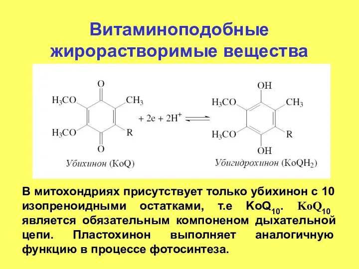 Витаминоподобные жирорастворимые вещества В митохондриях присутствует только убихинон с 10 изопреноидными остатками, т.е