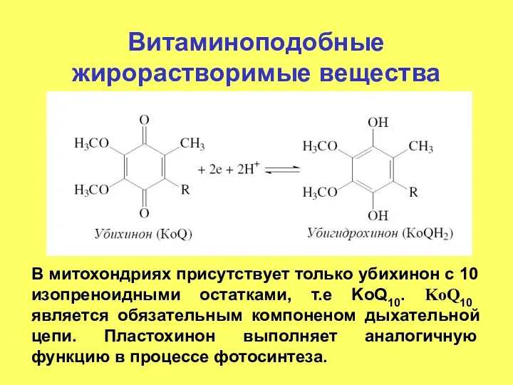 Витаминоподобные жирорастворимые вещества В митохондриях присутствует только убихинон с 10