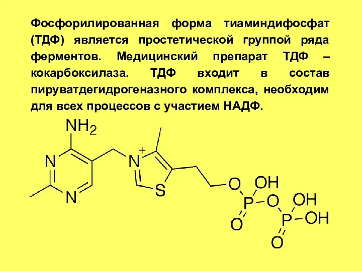 Фосфорилированная форма тиаминдифосфат (ТДФ) является простетической группой ряда ферментов. Медицинский препарат ТДФ –