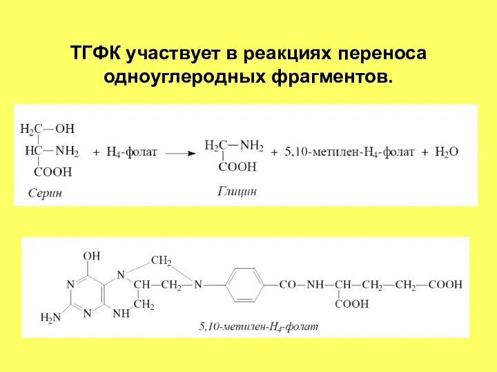ТГФК участвует в реакциях переноса одноуглеродных фрагментов.