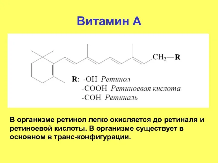 Витамин А В организме ретинол легко окисляется до ретиналя и ретиноевой кислоты. В