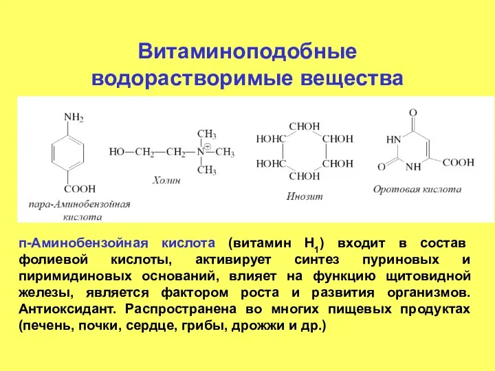 Витаминоподобные водорастворимые вещества п-Аминобензойная кислота (витамин Н1) входит в состав фолиевой кислоты, активирует