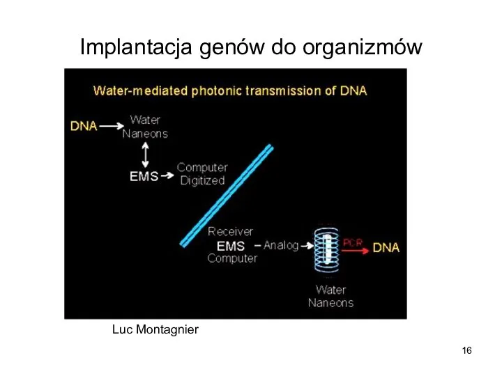 Implantacja genów do organizmów Luc Montagnier