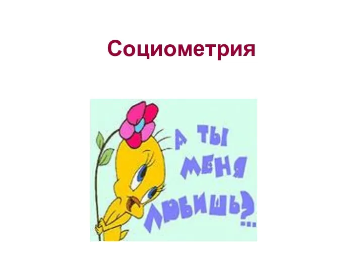 Социометрия