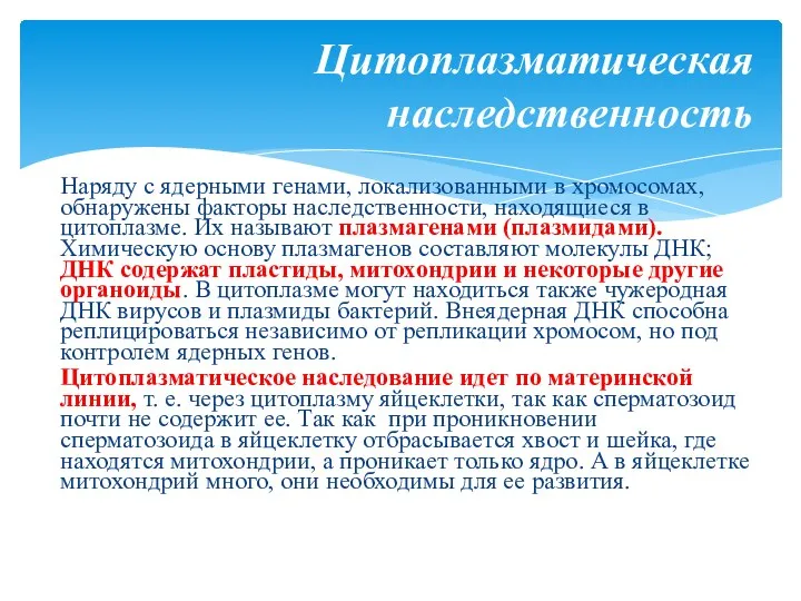 Наряду с ядерными генами, локализованными в хромосомах, обнаружены факторы наследственности, находящиеся в цитоплазме.