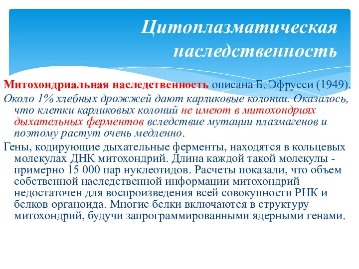 Митохондриальная наследственность описана Б. Эфрусси (1949). Около 1% хлебных дрожжей дают карликовые колонии.