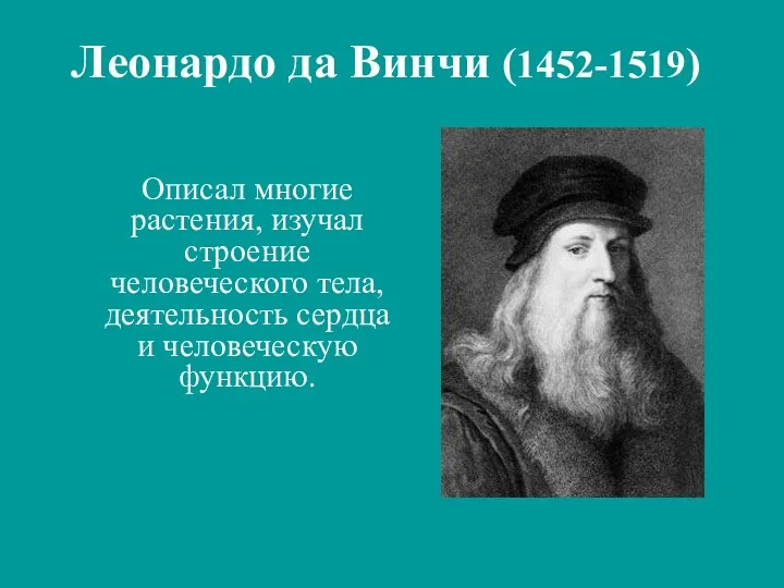 Описал многие растения, изучал строение человеческого тела, деятельность сердца и человеческую функцию. Леонардо да Винчи (1452-1519)