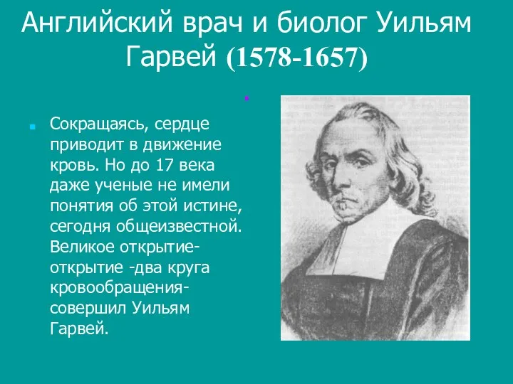 Английский врач и биолог Уильям Гарвей (1578-1657) . Сокращаясь, сердце