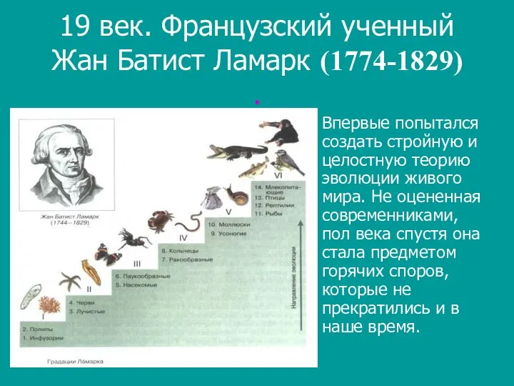 19 век. Французский ученный Жан Батист Ламарк (1774-1829) . Впервые