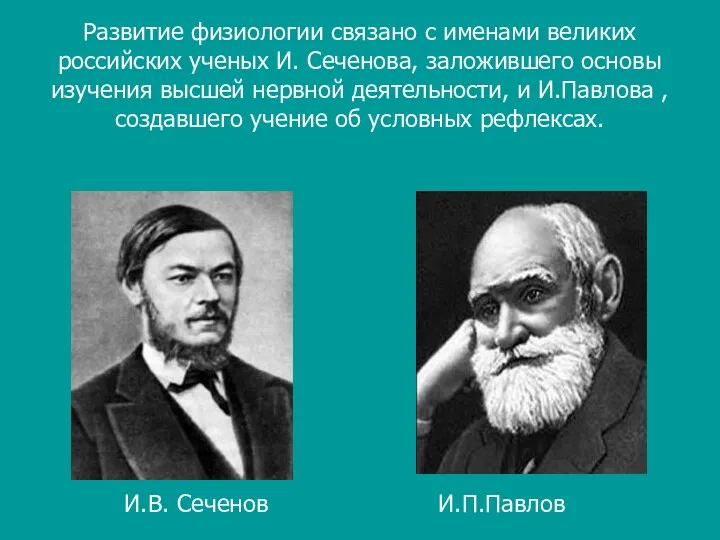 Развитие физиологии связано с именами великих российских ученых И. Сеченова,