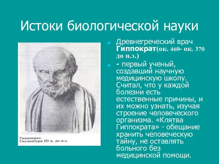 Истоки биологической науки Древнегреческий врач Гиппократ(ок. 460- ок. 370 до