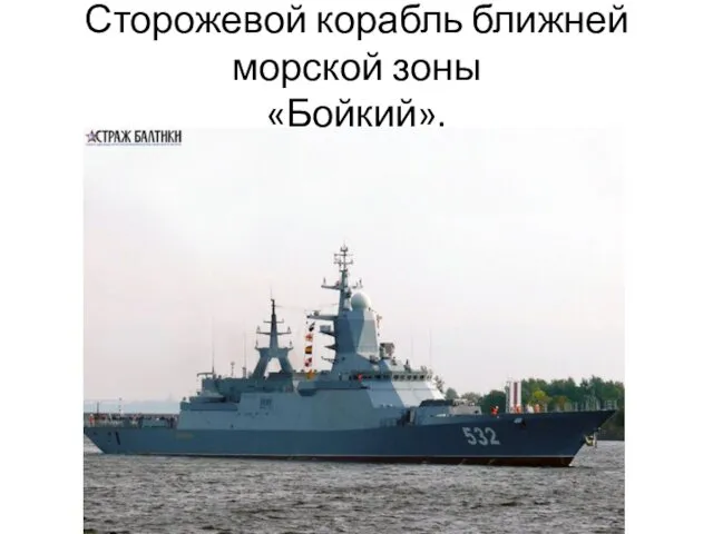 Сторожевой корабль ближней морской зоны «Бойкий».