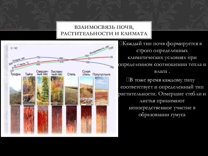 Каждый тип почв формируется в строго определенных климатических условиях при