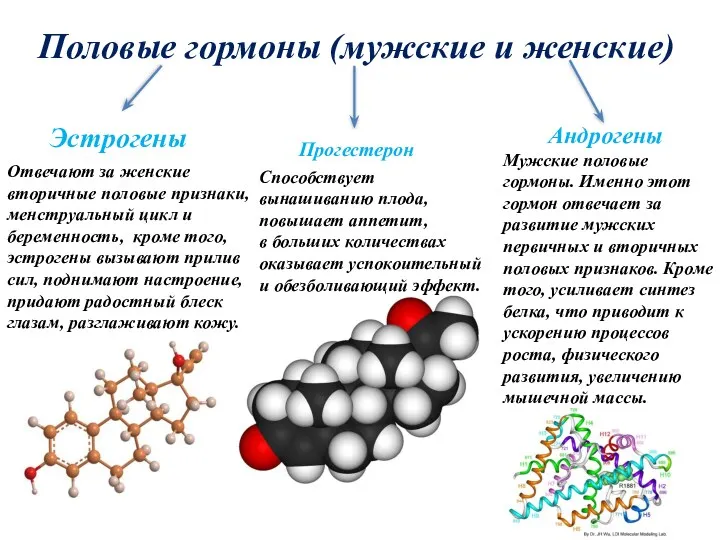 Половые гормоны (мужские и женские) Эстрогены Отвечают за женские вторичные