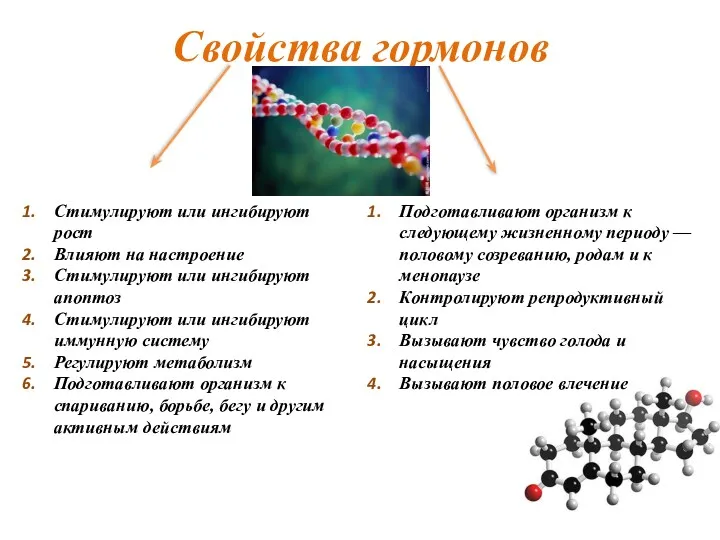 Свойства гормонов Стимулируют или ингибируют рост Влияют на настроение Стимулируют