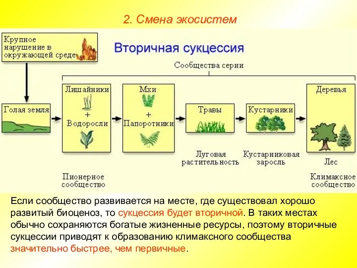 2. Смена экосистем Если сообщество развивается на месте, где существовал