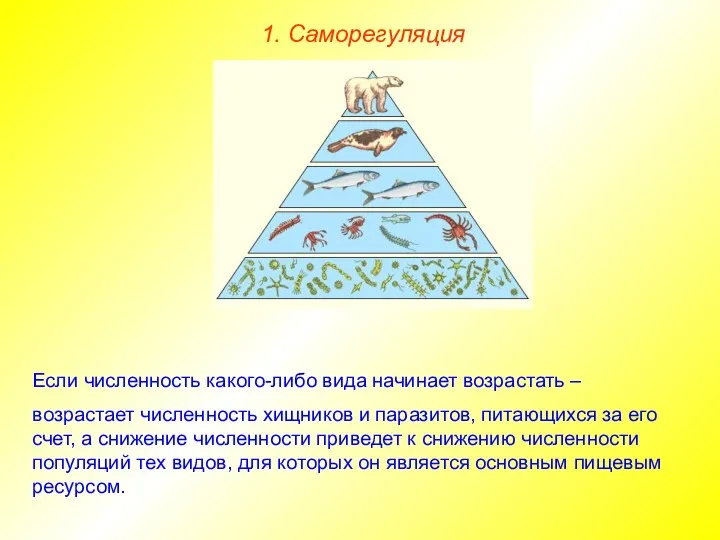 1. Саморегуляция Если численность какого-либо вида начинает возрастать – возрастает