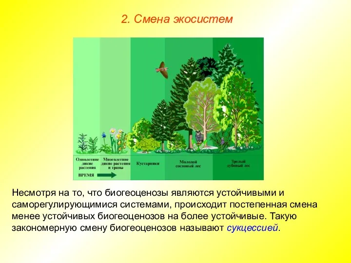 2. Смена экосистем Несмотря на то, что биогеоценозы являются устойчивыми