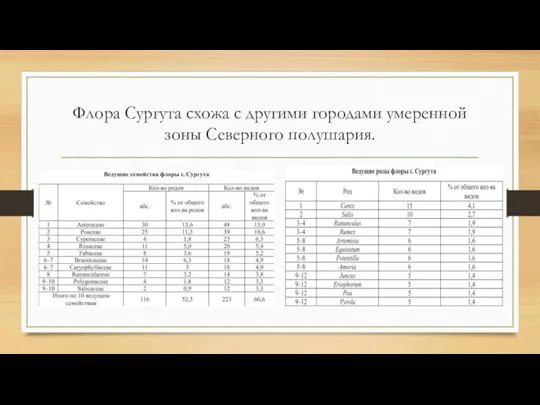 Флора Сургута схожа с другими городами умеренной зоны Северного полушария.