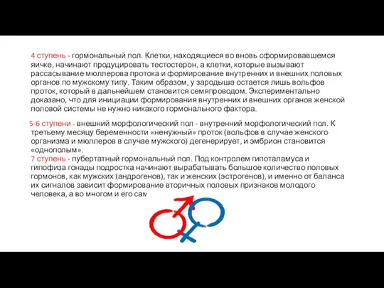 4 ступень - гормональный пол. Клетки, находящиеся во вновь сформировавшемся