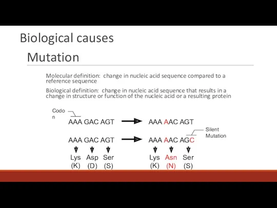 Mutation Molecular definition: change in nucleic acid sequence compared to