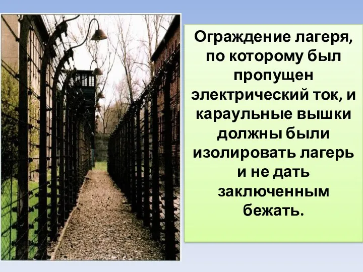 Ограждение лагеря, по которому был пропущен электрический ток, и караульные