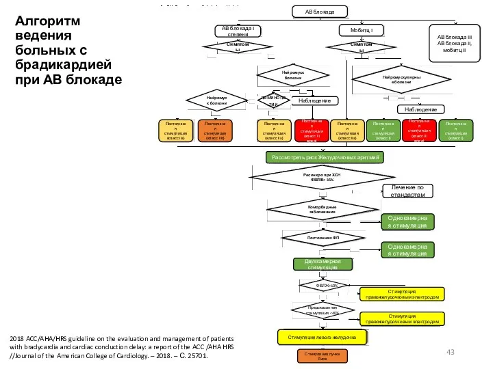 Алгоритм ведения больных с брадикардией при АВ блокаде 2018 ACC/AHA/HRS guideline on the