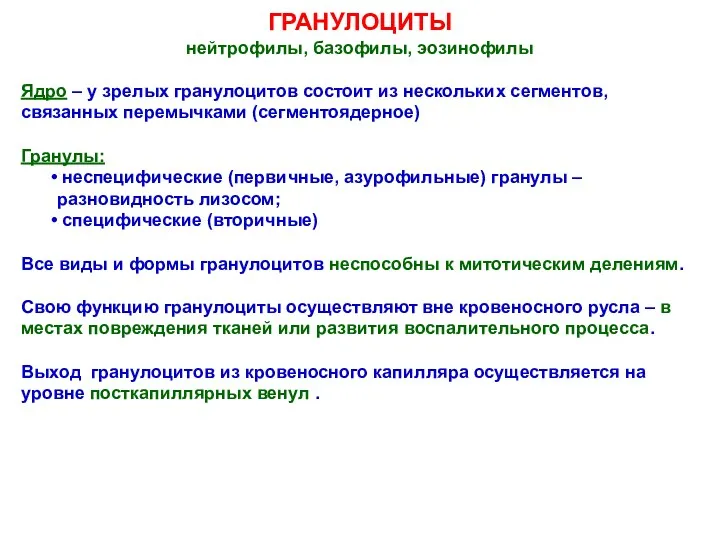 ГРАНУЛОЦИТЫ нейтрофилы, базофилы, эозинофилы Ядро – у зрелых гранулоцитов состоит