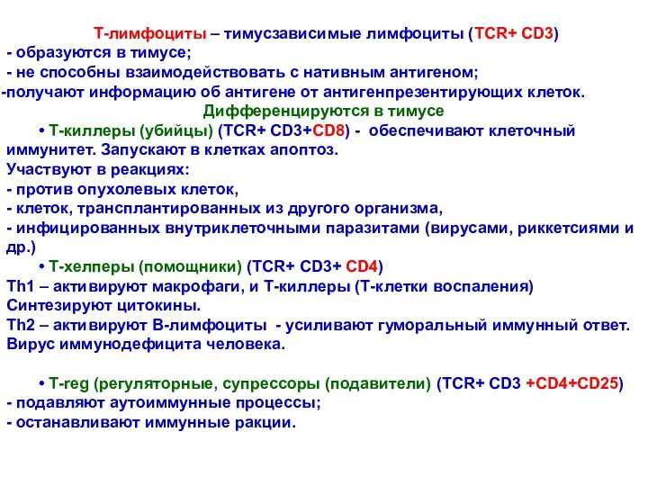 Т-лимфоциты – тимусзависимые лимфоциты (TCR+ CD3) - образуются в тимусе;