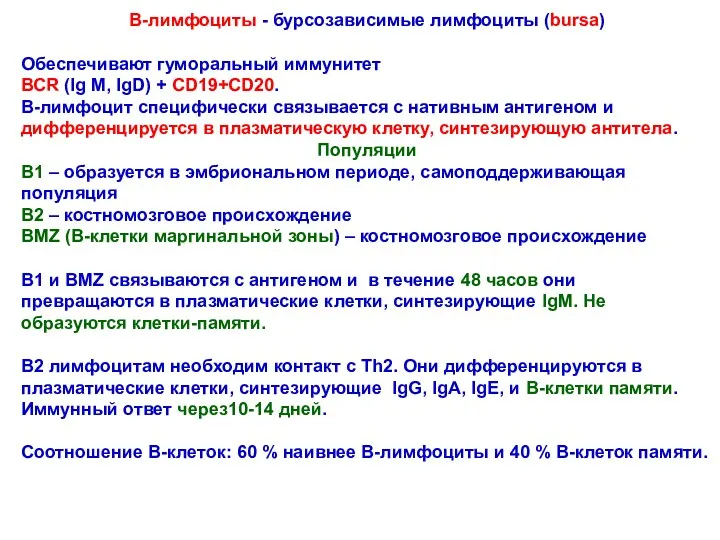 В-лимфоциты - бурсозависимые лимфоциты (bursa) Обеспечивают гуморальный иммунитет ВСR (Ig