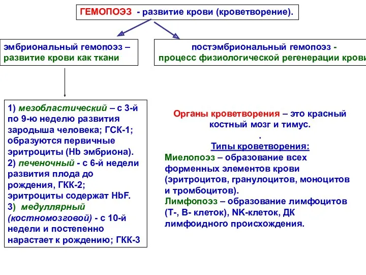 ГЕМОПОЭЗ - развитие крови (кроветворение). эмбриональный гемопоэз – развитие крови