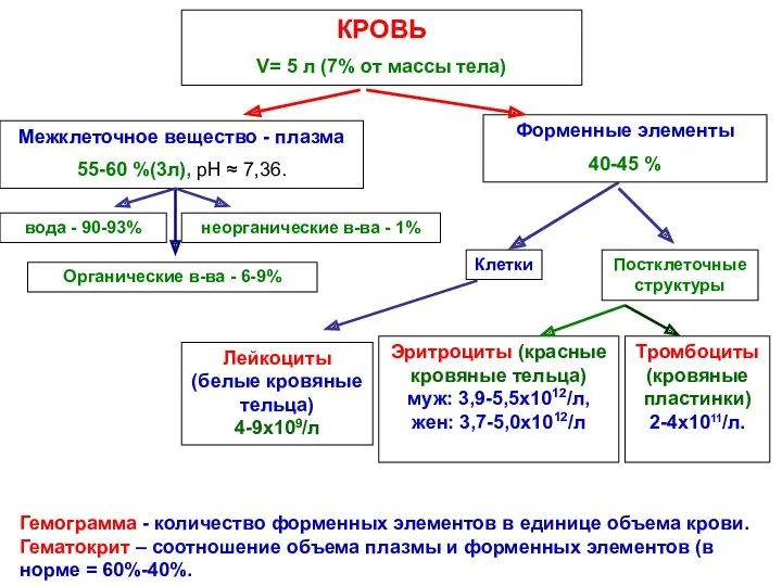 Гемограмма - количество форменных элементов в единице объема крови. Гематокрит