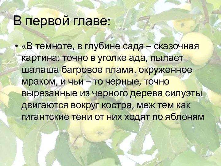 В первой главе: «В темноте, в глубине сада – сказочная