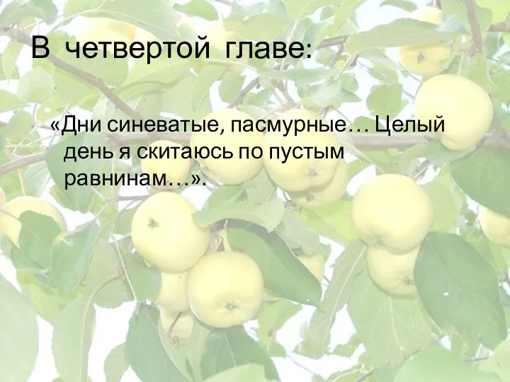 В четвертой главе: «Дни синеватые, пасмурные… Целый день я скитаюсь по пустым равнинам…».