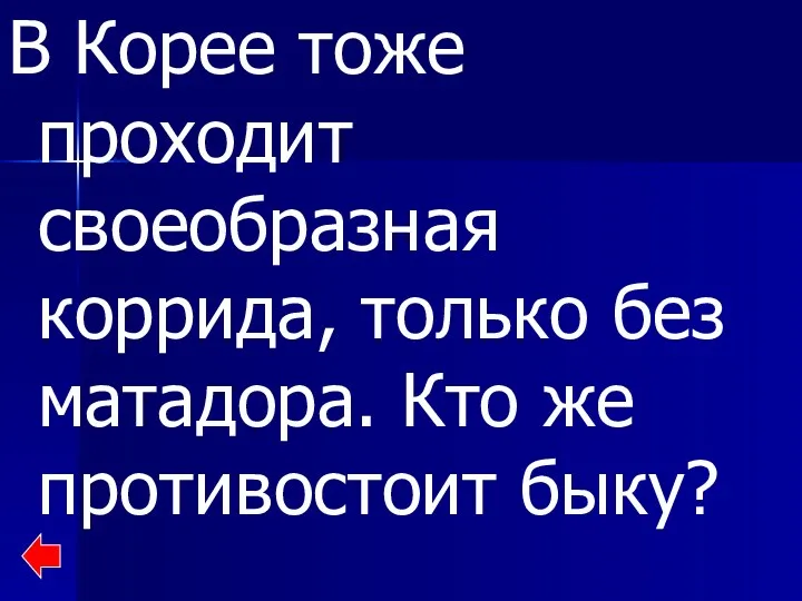 В Корее тоже проходит своеобразная коррида, только без матадора. Кто же противостоит быку?