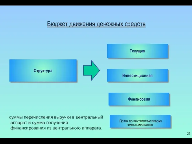 Структура Текущая Инвестиционная Финансовая ПОТОК ПО ВНУТРИОТРАСЛЕВОМУ ФИНАНСИРОВАНИЮ Бюджет движения